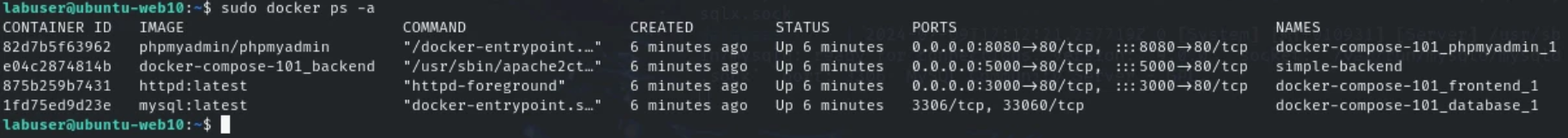 check docker
