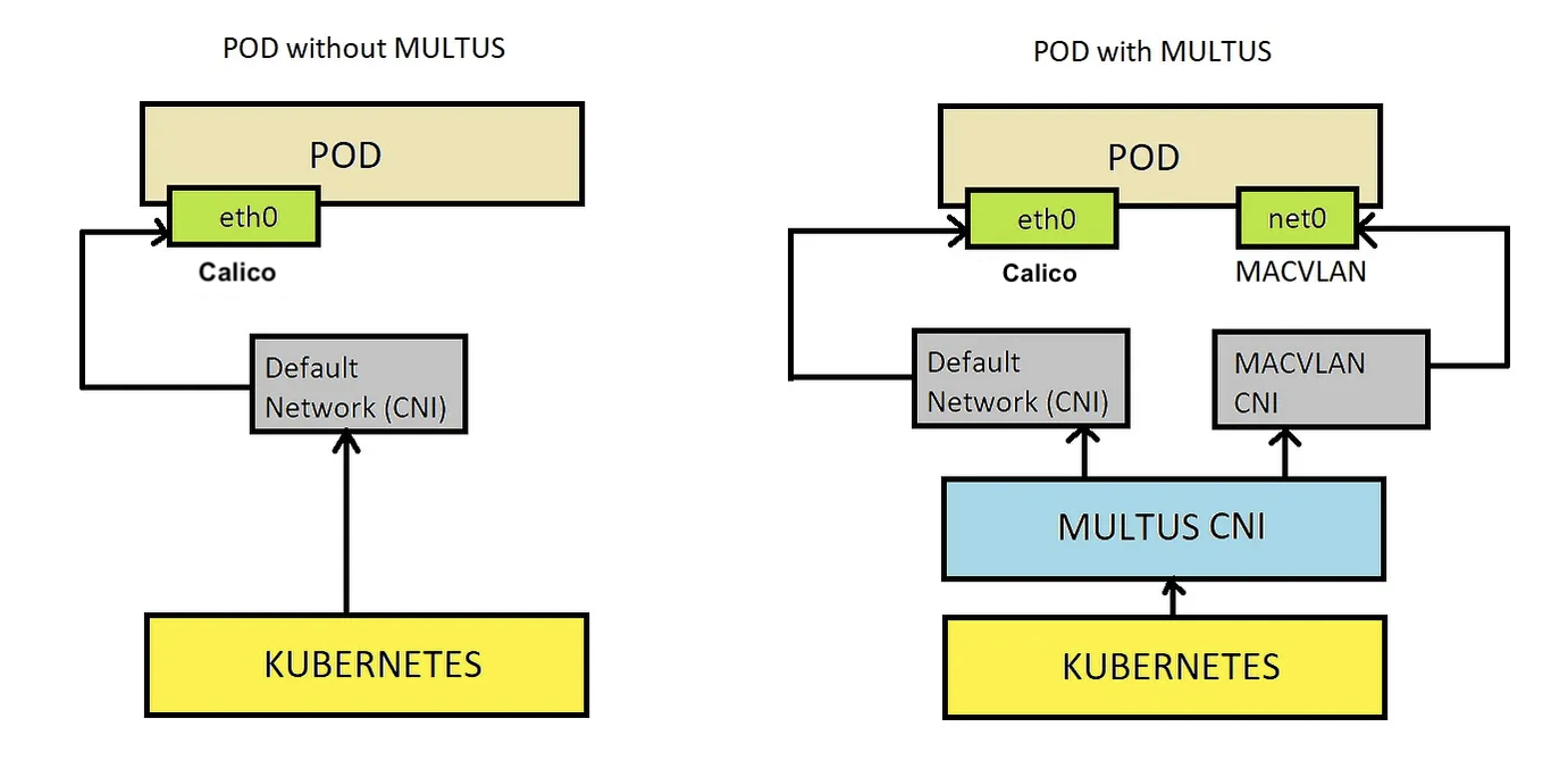 imagemultus